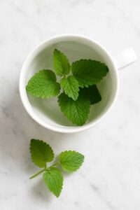 Fresh lemon balm leaves in a white mug for a lemon balm for weight loss recipe.
